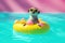 Cute meerkat chilling on an inflatable pool float in a swimming pool. Summer holidays concept. Generative AI