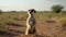 Cute meerkat sitting in natural savannah habitat generated by AI