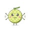 Cute melon character feeling annoyed isolated on white background. Melon character emoticon illustration