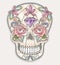 Cute mexican skull. Colorful skull with flower, gem