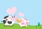 Cute milk cow couple on green grass field and blue sky background.