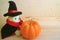 Cute and Minimalist Halloween Decor with Lion Toy in Wizard Costume and Orange Color Ripe Pumpkin