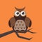 Cute modern bright cartoon owl expression animal character comic funny doodle behavior bird and little colorful emotion