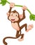 Cute monkey animal hanging on a vine