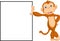 Cute monkey with blank sign