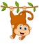 Cute monkey cartoon hanging