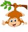 Cute monkey cartoon hanging on a tree branch with thumb up