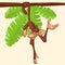 Cute Monkey Chimpanzee Hanging On Wood Branch Flat Bright Color Simplified Vector Illustration In Fun Cartoon Style Design.