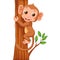 Cute monkey holding tree