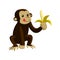 Cute Monkey holds banana Color Illustration Design