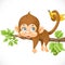 Cute monkey lazily lying on a branch and holds the tail of banan