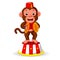 Cute monkey playing percussion hand cymbals