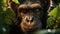 Cute monkey in the wild, looking at camera, tropical forest generated by AI