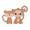 cute monkeys animal isolated icon