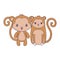 cute monkeys animal isolated icon