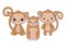 cute monkeys animal isolated icon