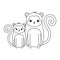 cute monkeys animal isolated icon