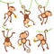 Cute monkeys collection