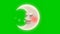 Cute moon cartoon sleeping ZZZ on green screen background, cartoon animation.