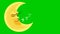 cute moon cartoon sleeping ZZZ, loop animation on green screen background.