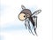 Cute mosquito flying movie white background