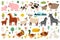 Cute mother and baby farm animals set. Mother Day bundle with funny animals and plants