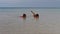 Cute mother and daughter swim in sea water