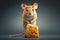 cute mouse standing on its hind legs, nibbling cheese wedge with its front paws