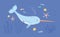 Cute narwhal or unicorn fish in sea or ocean among seaweeds, corals and fishes. Magic fairy underwater animal. Childish