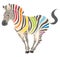 Cute naturalistic zebra with rainbow stripes in funny pose