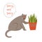 Cute naughty cat knocking off a plant pot sorry not sorry