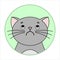 Cute Naughty, Grumpy Cat, Round Icon, Emoji. Perplexity, Discontent. Gray Cat With A Mustache Unhappy, Vector Image Isolated