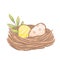 Cute nest with colored easter eggs and blade of grass. Easter design element
