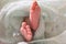 Cute newborn baby covered in turquoise crocheted plaid on bed, closeup of legs