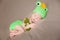 Cute newborn baby in a frog costume