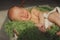 Cute newborn baby is smling and sleeping in a basket.