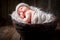 Cute newborn infant sleeping in the basket