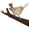 Cute Nightingale Singing on a Branch Vector Cartoon Illustration Isolated on White