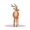 Cute noble sika deer. Reindeer with antlers on white background. Ruminant mammal animal. Vector illustration in flat