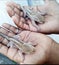 Cute northern palm squirrel in a human hands.