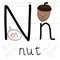 Cute Nut with Beret Practicing the Grammar Lesson, Vector Illustration