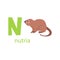 Cute nutria card. Alphabet with animals. Colorful design for teaching children the alphabet, learning English. Vector