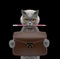Cute office worker businessman cat with suitcase or bag isolated on black