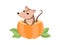 Cute Opossum Sitting in Pumpkin, Adorable Wild Animal Vector Illustration