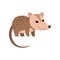 Cute Opossum Wild Animal Side View Vector Illustration