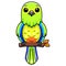 Cute orange bellied parrot cartoon on tree branch