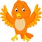 Cute orange bird cartoon
