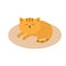 Cute orange cat lying sleeping on oval carpet rug mat. Moustache whisker. Funny cartoon character. White background. . Fla