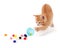 Cute Orange Kitten spilling jelly beans out of an Easter egg.