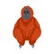 Cute orange orangutan monkey sitting. Vector illustration isolated on white background